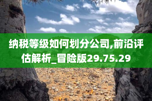 纳税等级如何划分公司,前沿评估解析_冒险版29.75.29