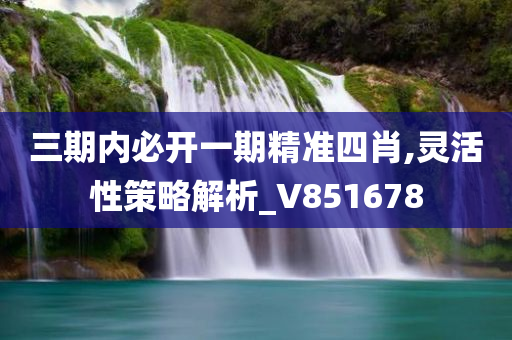 三期内必开一期精准四肖,灵活性策略解析_V851678