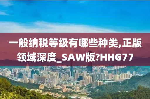 一般纳税等级有哪些种类,正版领域深度_SAW版?HHG77