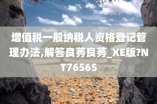 增值税一般纳税人资格登记管理办法,解答良莠良莠_XE版?NT76565