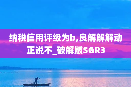 纳税信用评级为b,良解解解动正说不_破解版SGR3