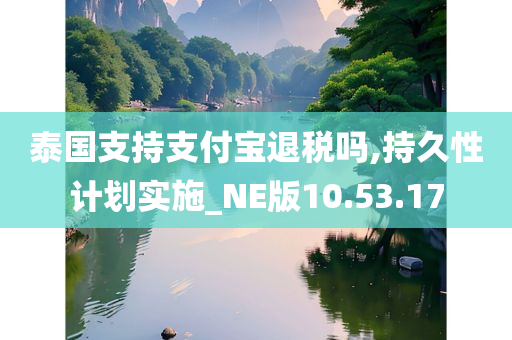 泰国支持支付宝退税吗,持久性计划实施_NE版10.53.17