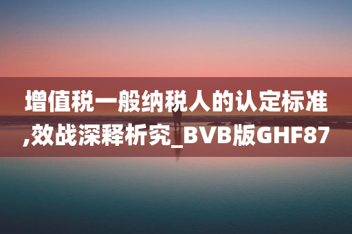 增值税一般纳税人的认定标准,效战深释析究_BVB版GHF87