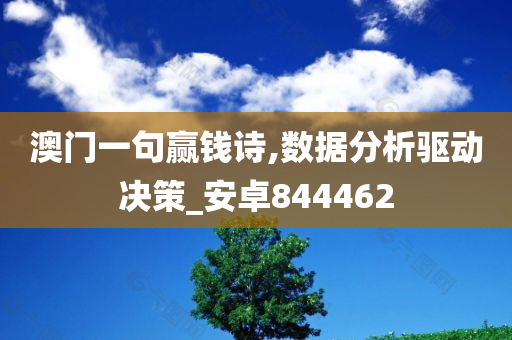 澳门一句赢钱诗,数据分析驱动决策_安卓844462