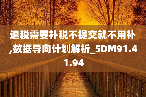 退税需要补税不提交就不用补,数据导向计划解析_5DM91.41.94