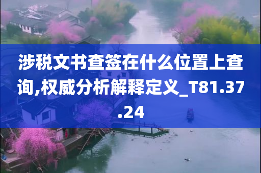 涉税文书查签在什么位置上查询,权威分析解释定义_T81.37.24