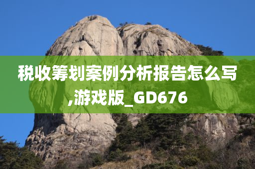 税收筹划案例分析报告怎么写,游戏版_GD676