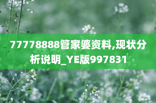 77778888管家婆资料,现状分析说明_YE版997831