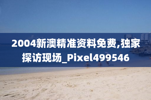 2004新澳精准资料免费,独家探访现场_Pixel499546