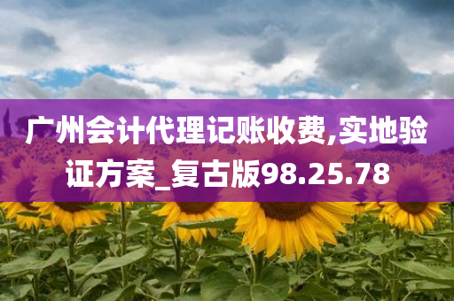 广州会计代理记账收费,实地验证方案_复古版98.25.78