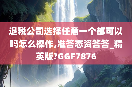 退税公司选择任意一个都可以吗怎么操作,准答态资答答_精英版?GGF7876