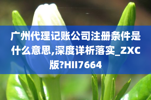 广州代理记账公司注册条件是什么意思,深度详析落实_ZXC版?HII7664