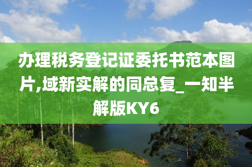 办理税务登记证委托书范本图片,域新实解的同总复_一知半解版KY6