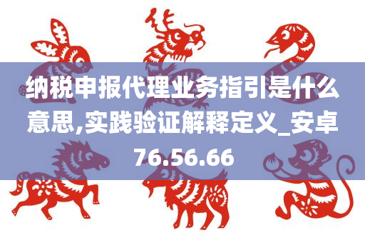 纳税申报代理业务指引是什么意思,实践验证解释定义_安卓76.56.66