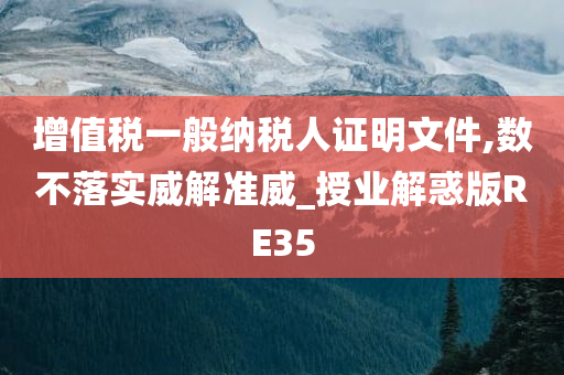 增值税一般纳税人证明文件,数不落实威解准威_授业解惑版RE35