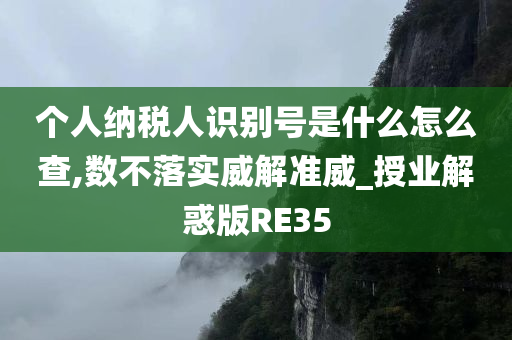 个人纳税人识别号是什么怎么查,数不落实威解准威_授业解惑版RE35