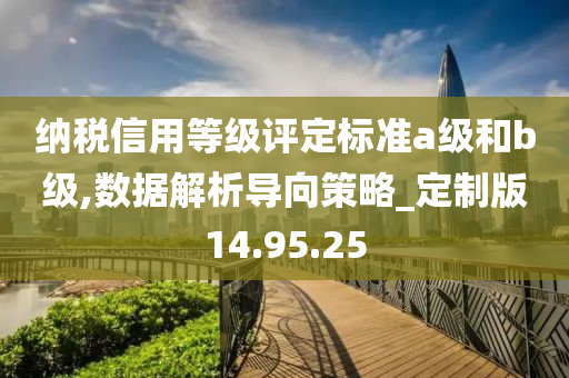 纳税信用等级评定标准a级和b级,数据解析导向策略_定制版14.95.25