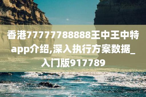 香港77777788888王中王中特app介绍,深入执行方案数据_入门版917789