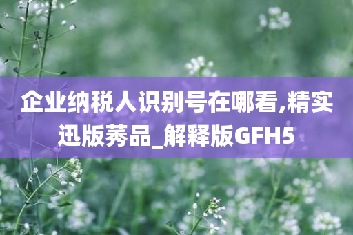 企业纳税人识别号在哪看,精实迅版莠品_解释版GFH5