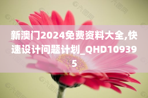 新澳门2024免费资料大全,快速设计问题计划_QHD109395