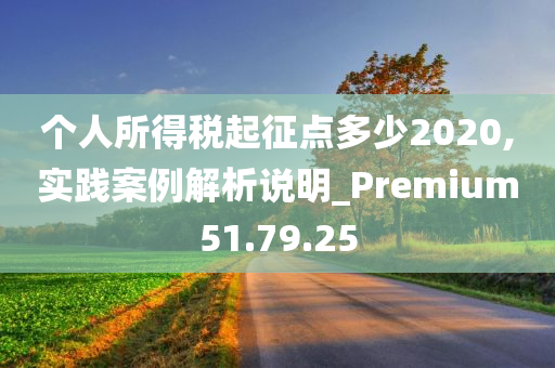 个人所得税起征点多少2020,实践案例解析说明_Premium51.79.25