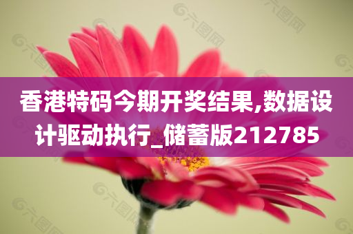 香港特码今期开奖结果,数据设计驱动执行_储蓄版212785