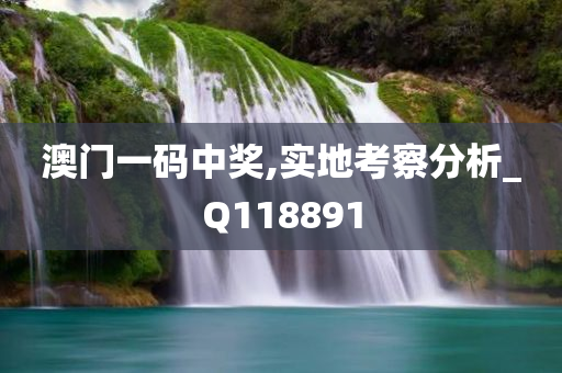 澳门一码中奖,实地考察分析_Q118891