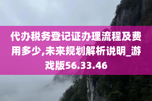 代办税务登记证办理流程及费用多少,未来规划解析说明_游戏版56.33.46