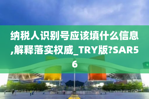 纳税人识别号应该填什么信息,解释落实权威_TRY版?SAR56