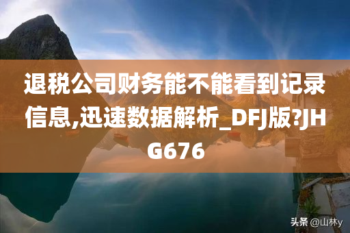 退税公司财务能不能看到记录信息,迅速数据解析_DFJ版?JHG676