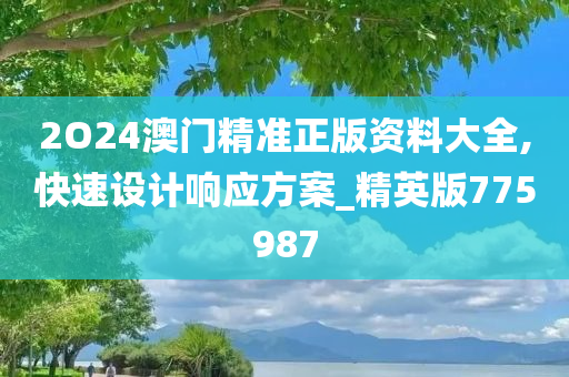 2O24澳门精准正版资料大全,快速设计响应方案_精英版775987