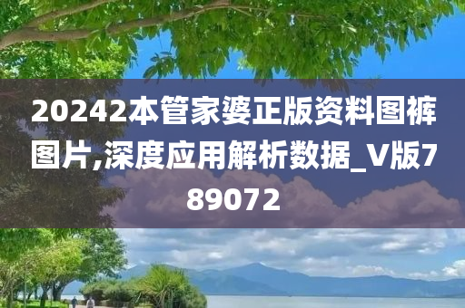 20242本管家婆正版资料图裤图片,深度应用解析数据_V版789072