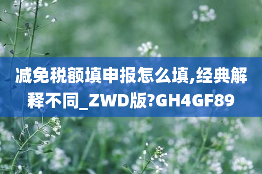 减免税额填申报怎么填,经典解释不同_ZWD版?GH4GF89