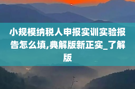 小规模纳税人申报实训实验报告怎么填,典解版新正实_了解版