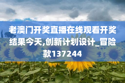 老澳门开奖直播在线观看开奖结果今天,创新计划设计_冒险款137244