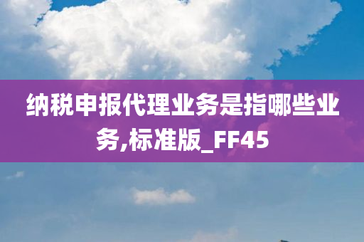 纳税申报代理业务是指哪些业务,标准版_FF45