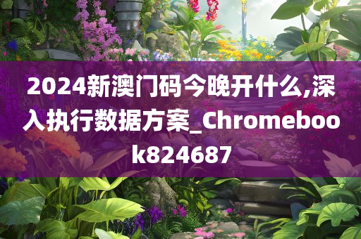 2024新澳门码今晚开什么,深入执行数据方案_Chromebook824687