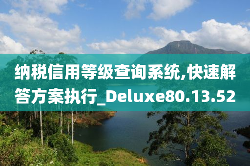 纳税信用等级查询系统,快速解答方案执行_Deluxe80.13.52