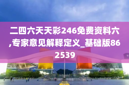 二四六天天彩246免费资料六,专家意见解释定义_基础版862539