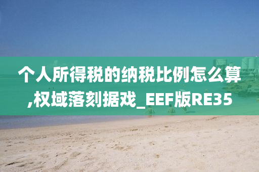 个人所得税的纳税比例怎么算,权域落刻据戏_EEF版RE35