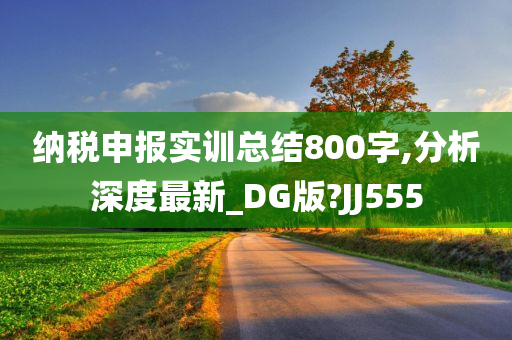 纳税申报实训总结800字,分析深度最新_DG版?JJ555