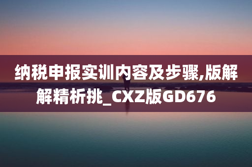 纳税申报实训内容及步骤,版解解精析挑_CXZ版GD676