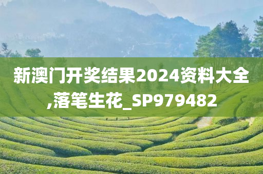 新澳门开奖结果2024资料大全,落笔生花_SP979482