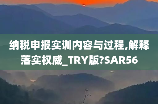 纳税申报实训内容与过程,解释落实权威_TRY版?SAR56