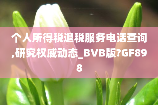 个人所得税退税服务电话查询,研究权威动态_BVB版?GF898