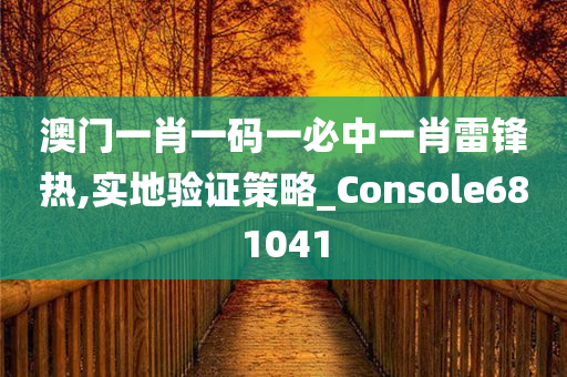 澳门一肖一码一必中一肖雷锋热,实地验证策略_Console681041