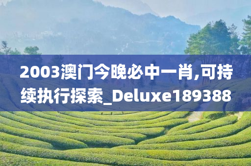 2003澳门今晚必中一肖,可持续执行探索_Deluxe189388