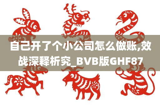 自己开了个小公司怎么做账,效战深释析究_BVB版GHF87