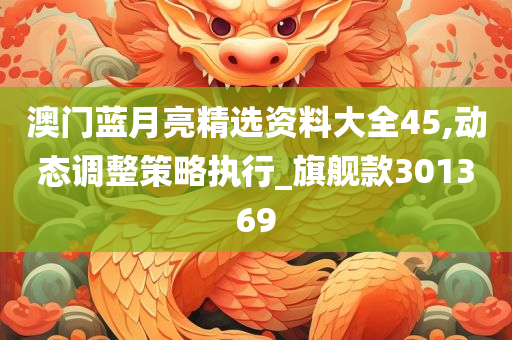 澳门蓝月亮精选资料大全45,动态调整策略执行_旗舰款301369