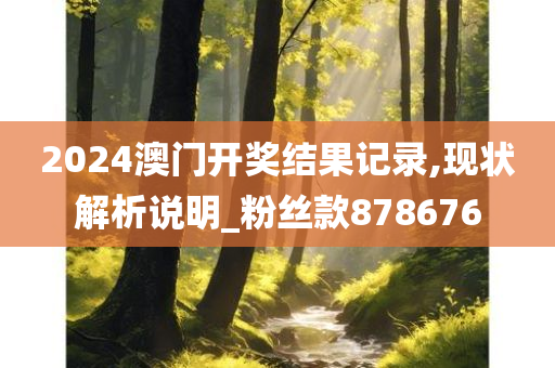 2024澳门开奖结果记录,现状解析说明_粉丝款878676